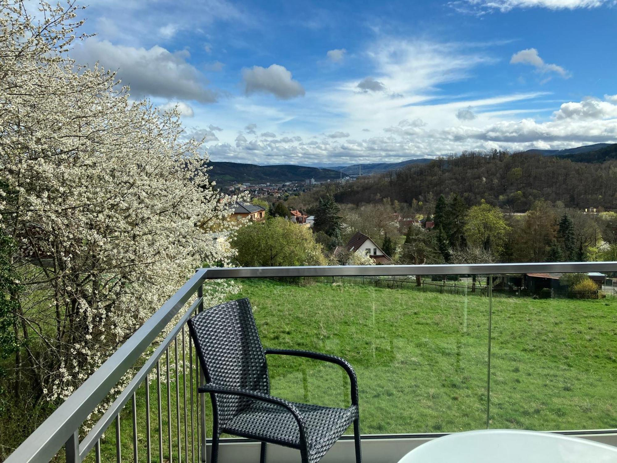 Studioappartment Saaleblick Rudolstadt Exterior foto